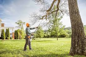 Leaf Removal in West Chicago, IL